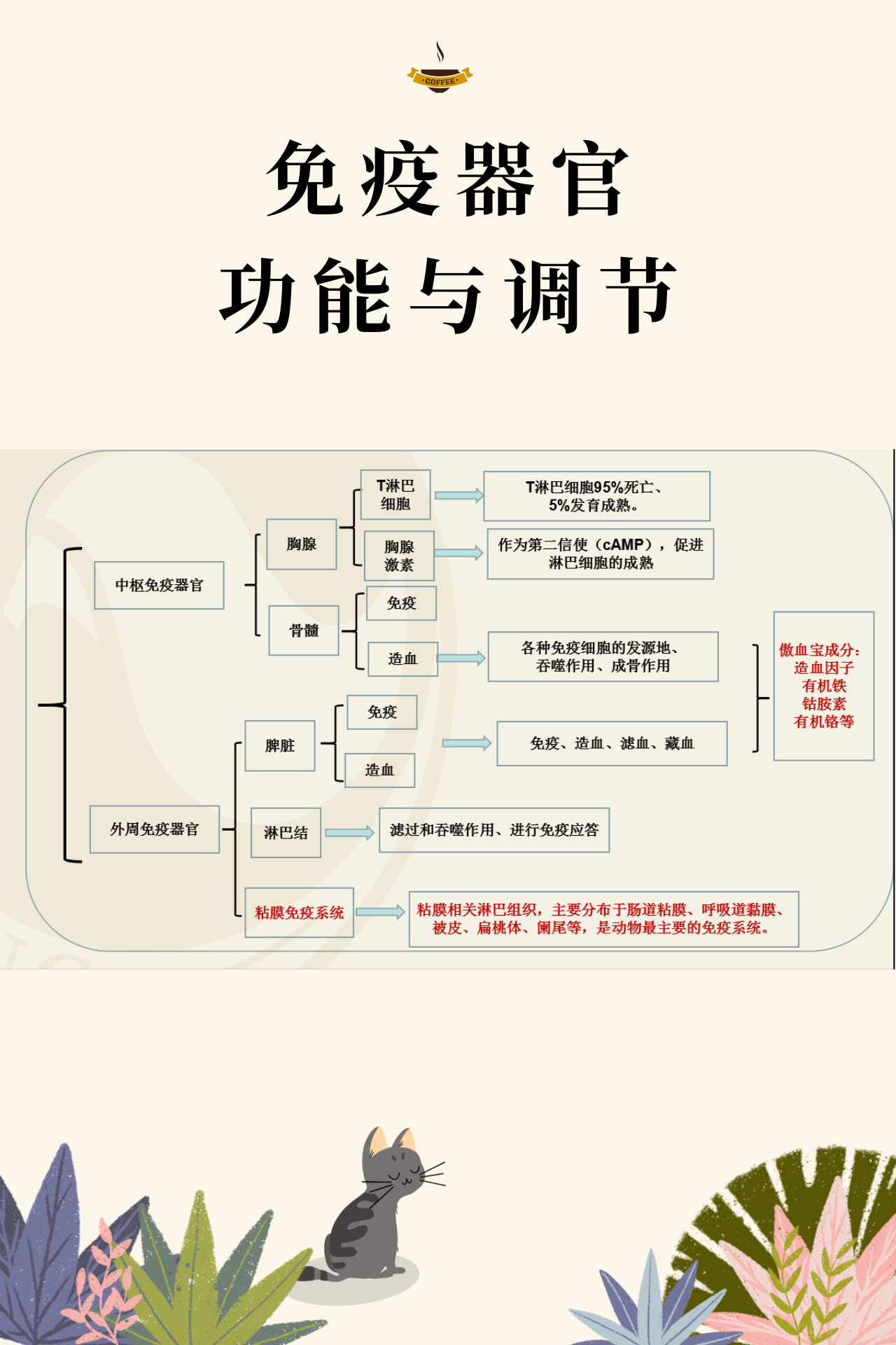 2024新澳门原料网站