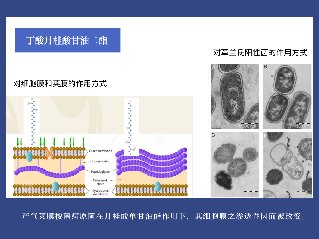 2024新澳门原料网站