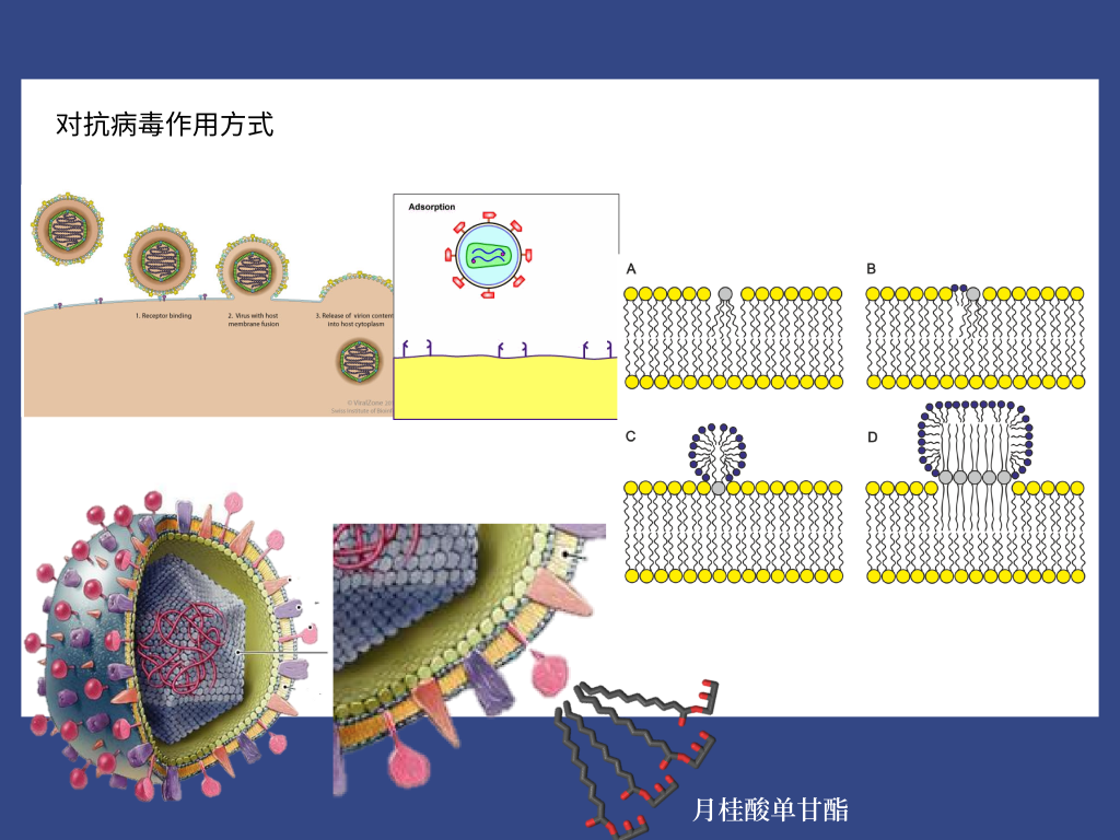 2024新澳门原料网站