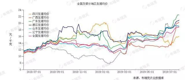 2024新澳门原料网站