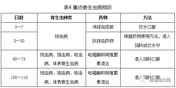 2024新澳门原料网站