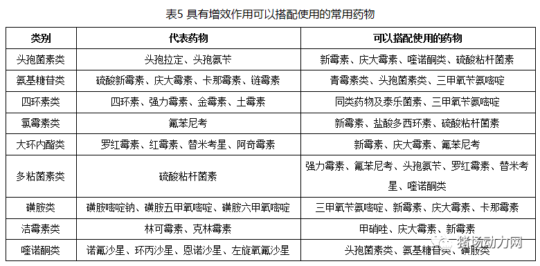 2024新澳门原料网站