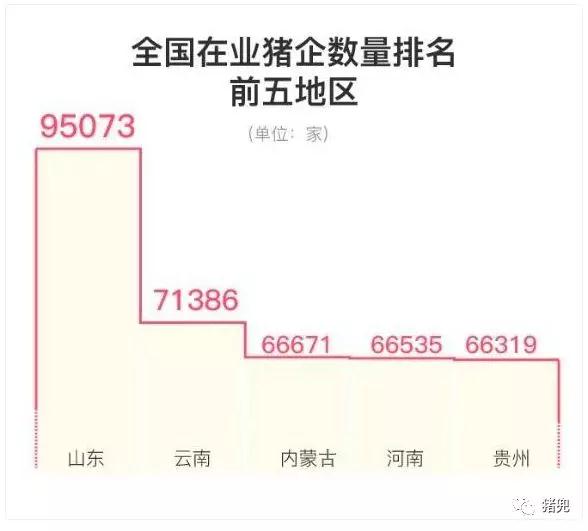 2024新澳门原料网站