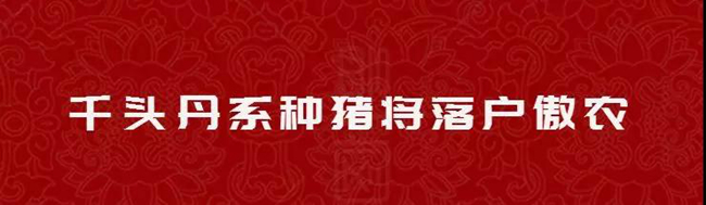 2024新澳门原料网站