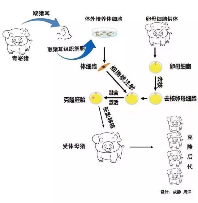 2024新澳门原料网站