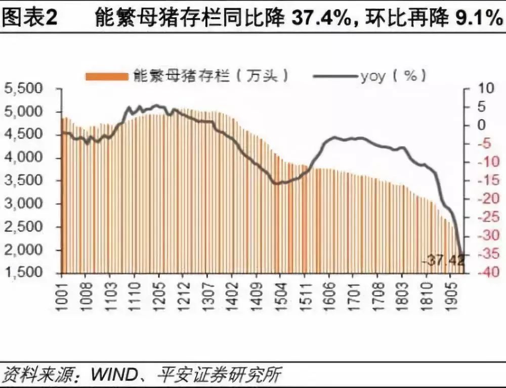 2024新澳门原料网站