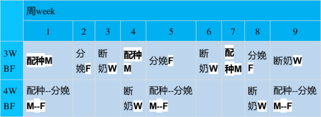 2024新澳门原料网站