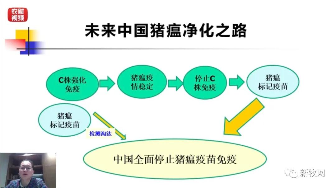 2024新澳门原料网站