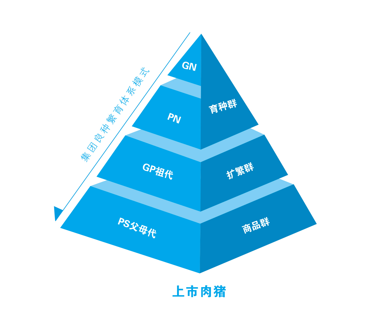 2024新澳门原料网站